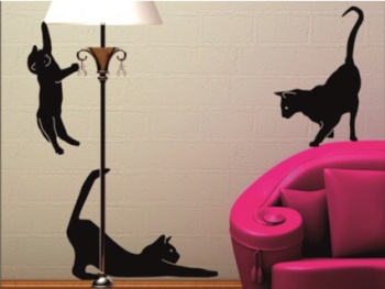 Samolepicí dekorace - kočky