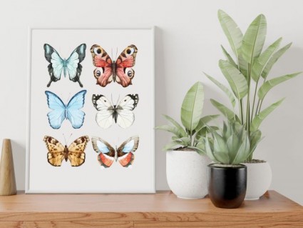 Plakáty - Motýli