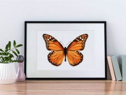 Plakáty - Motýl